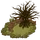 Swamp-icon.png