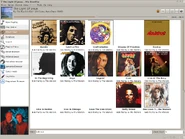 12 album view