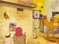 Camel