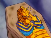 BandageCoffin