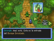 Entrada Bosque Enraizado