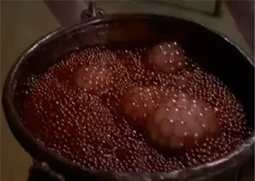 Zira's potion