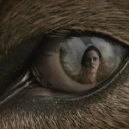 ImagesCAXZVFCO
