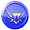 Faction coin sentinel