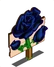 Black Rose