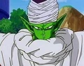 Piccolo15