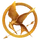 Mockingjay Pin