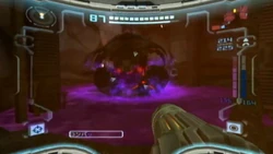 Dark Phlogus