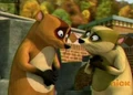 Badger 3.jpg