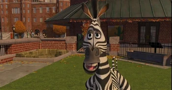 Zebra 10