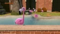 Flamingo 1.jpg