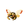 Ninjask E variocolor