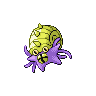 Omastar E variocolor