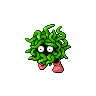 Tangela E variocolor