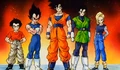 Z-Fighters