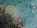 Butterfly1