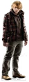 Dhposter RonWeasley.jpg