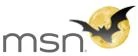 MSN Halloween Logo 2010