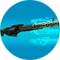 Gunlogo.png