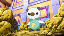 Mijumaru de Ash