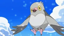 Pidove de Ash
