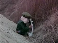 Koreanoolongdump