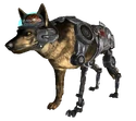 FNVRex