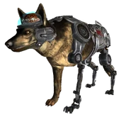 FNVRex