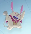 Hamsterviel.JPG