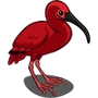 Scarlet Ibis-icon