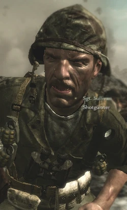 AngrySullivan