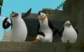 The Men Are Here.jpg