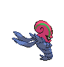 Accelgor espalda G5