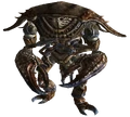 Mirelurk hunter