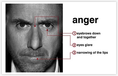  Wiki on Featured On  Lie To Me Wiki   Facial Action Coding System   Anger