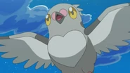 EP668 Pidove