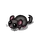 Black Chinchilla
