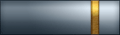 Sleeve insignia.