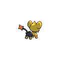 Shinx espalda G5 variocolor hembra