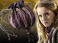 Hermione bag.jpg