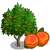Golden Apricot Tree-icon.png