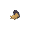 Shieldon espalda G5