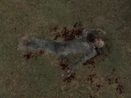A dead ghost