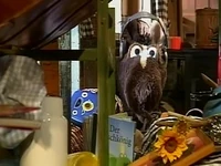 Emzfolge07-2