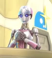 SN-D1.jpg