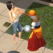 Sims2nl-70