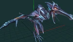 Meta Ridley CMDL