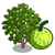 Breadnut Tree-icon.png