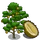 Chanee Durian Tree-icon