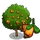 Wild Cashew Tree-icon